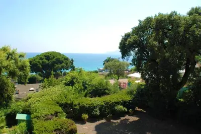 a view of a garden with a tree and the ocean at Appartement moderne à Cannes avec vue sur mer et montagne - 85 m² in Cannes