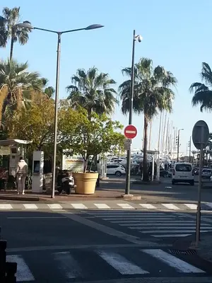 an empty street with palm trees and a street light at Cannes,croisette,palais des festivals,plages in Cannes