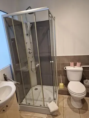 a bathroom with a shower and a toilet and a sink at Residence Chryseis in Cannes