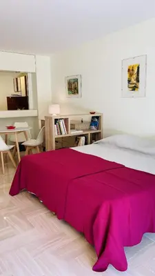 a bedroom with a large bed with a red blanket at Résidence Gray d'Albion Studio ROU503 in Cannes
