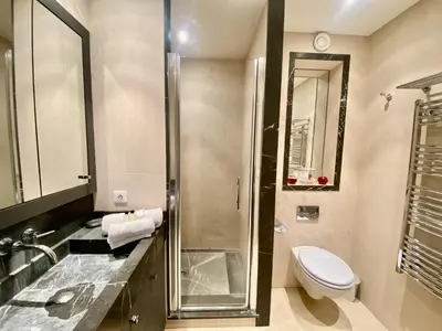 a bathroom with a toilet and a sink and a shower at Résidence Gray d'Albion 2P 5402 in Cannes