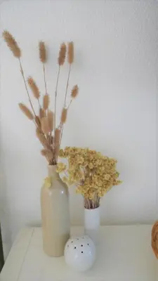two vases with flowers in them on a table at CANNES plage 2mn/45m2/vue mer/inernet/clim/parking privé in Cannes