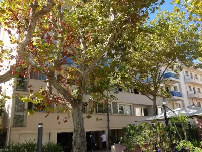 a tree in front of a building at Apartment Le Corsaire-5 by Interhome in Cannes