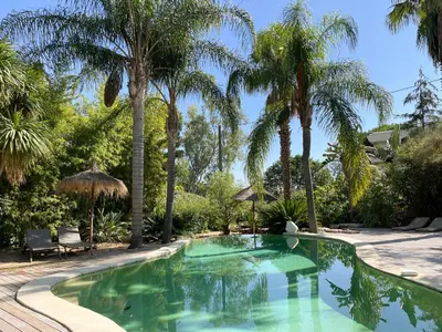 a swimming pool with palm trees in a yard at Cannes Villa St Barth in Cannes