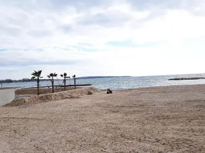 a person sitting on a beach with palm trees at Bristol Park - parking - 5mn walk from Palais des Festivals in Cannes