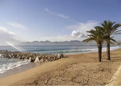 a beach with two palm trees and the ocean at Cannes vue mer in Cannes