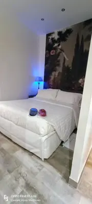 a white bed in a room with a painting on the wall at La Petit Maison du Bonheur in Cannes