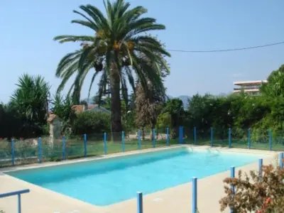 a large swimming pool with a palm tree in the background at Modern one bedroomed apartment just off the Cannes Seafront with a terrace and pool access 1753 in Cannes