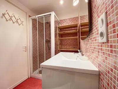a bathroom with a sink and a shower at Palais Rouaze 2P SOM2151 in Cannes