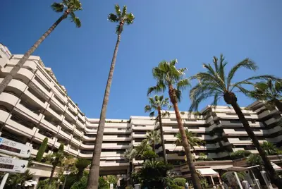 a large white building with palm trees in front of it at Residence Gray d'Albion Studio DEL186 in Cannes