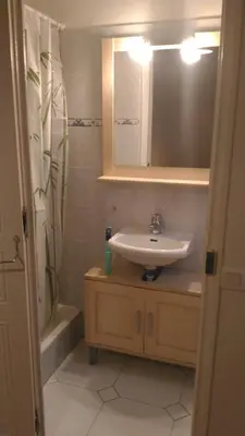 a bathroom with a sink and a shower at Forville in Cannes