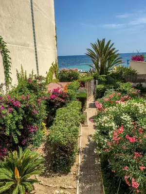 a garden with flowers and plants next to the ocean at Cannes - Beachfront with private garden - Palm Beach Croisette in Cannes