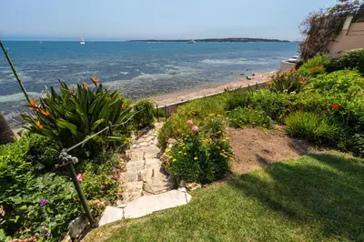 a garden with flowers and palm trees and the ocean at Résidence Vue Mer Cannes in Cannes