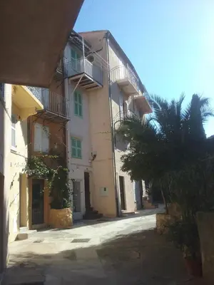 a building with a palm tree in front of it at Studio à 2 pas du Palais in Cannes