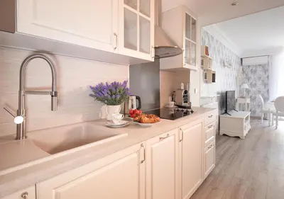 a kitchen with a sink and a bowl of fruit on the counter at Cannes Imperial Croisette Palais Miramar in Cannes