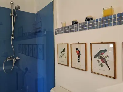 a bathroom with four pictures of birds on the wall at Karol in Cannes