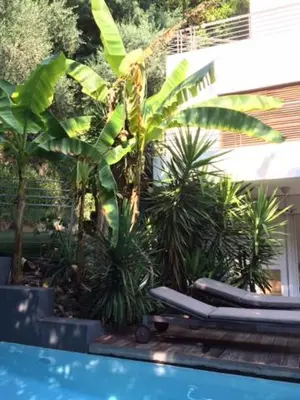 a swimming pool with two lounge chairs and palm trees at Villa Roi Albert 2 in Cannes