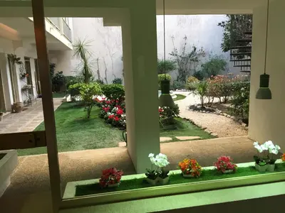 a window view of a garden with flowers in pots at Grand Studio Carré d'Or - Les Méridiens in Cannes
