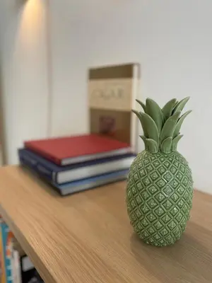 a pineapple sitting on top of a table with books at Studio Cosy Pradignac in Cannes