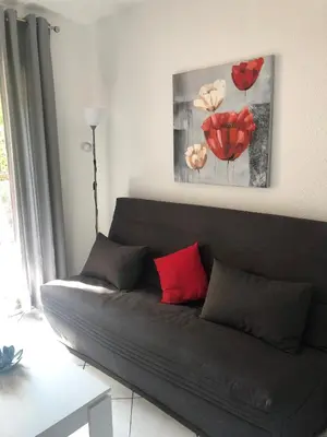 a black couch with red pillows in a living room at Cannes center in Cannes