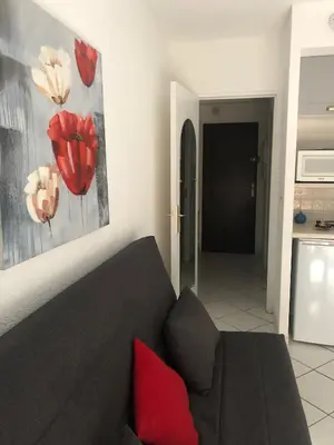 a living room with a gray couch and red pillows at Cannes center in Cannes