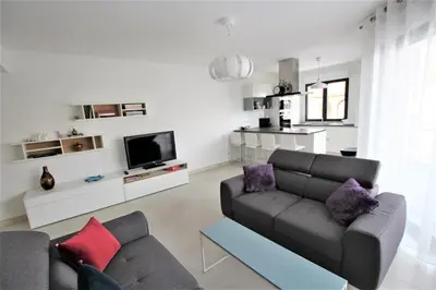 a living room with a couch and a tv at VENDÔME APARTMENT in Cannes