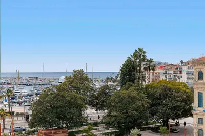 a group of trees in a city with a harbor at Carrousel stud in Cannes