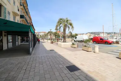 a sidewalk with a palm tree and a building at Luxury 1 bedroom Quai St Pierre 2 mins from the Palais & Croisette 269 in Cannes