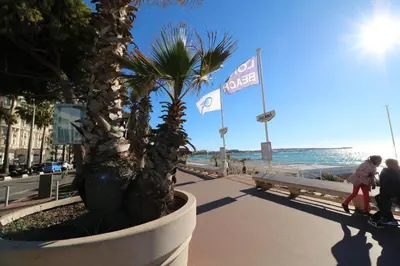 a palm tree in a planter next to the beach at Luxury 1 bedroom Quai St Pierre 2 mins from the Palais & Croisette 269 in Cannes