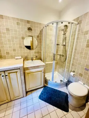 a bathroom with a shower and a toilet and a sink at Golden Triangle 2Br/2Ba in Cannes