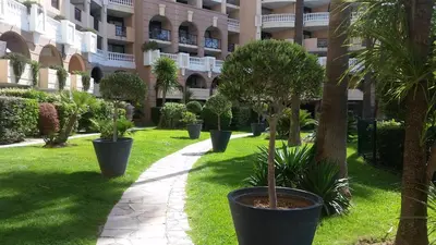 a row of potted trees in front of a building at Sea view La Palme d'Azur apartment steps away from the beach and perfect for holidays & business trips in Cannes