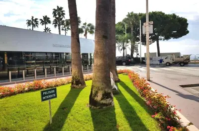 a sign in the grass with palm trees and flowers at PALAIS MIRAMAR CROISETTE APART 1 MIN CARLTON in Cannes