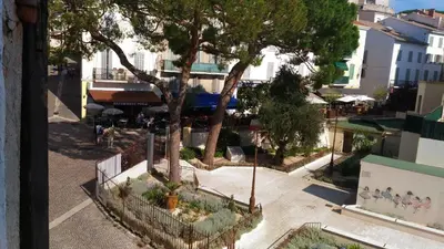 an overhead view of a garden with a tree at Saint Dizier in Cannes