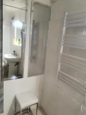 a bathroom with a toilet and a sink and a mirror at Saint Dizier in Cannes