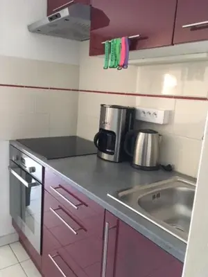 a small kitchen with purple cabinets and a sink at Appartement Belle Azur in Cannes