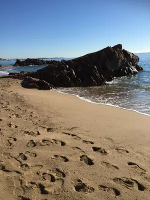 a group of footprints in the sand on a beach at Appartement Belle Azur in Cannes