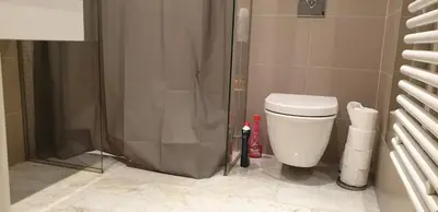 a bathroom with a shower and a toilet in it at Parc Impérial in Cannes