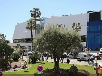 a park with a tree and people sitting on benches at 1 bedroom in front of the Palais! in Cannes