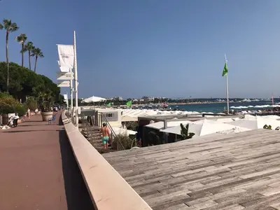 a walkway next to a marina with boats at New - cosy & nice Apartment in Palais Miramar in Cannes