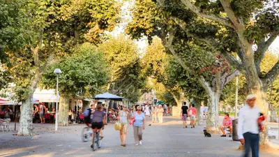 a group of people walking down a street with trees at Colombe in Cannes