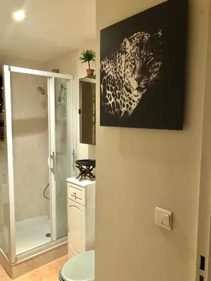 a bathroom with a picture of a leopard on the wall at CANNES CENTRE 5 minutes de la mer in Cannes
