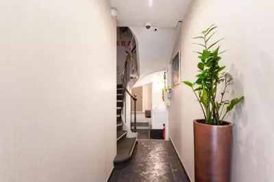 a hallway with a potted plant and a stairway at Hotel l'Hotera in Cannes
