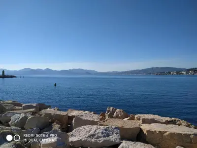 a dog sitting on the rocks by the water at Ferretti 36 ' Bateau à Quai Vieux-Port Cannes Festival La Croisette in Cannes