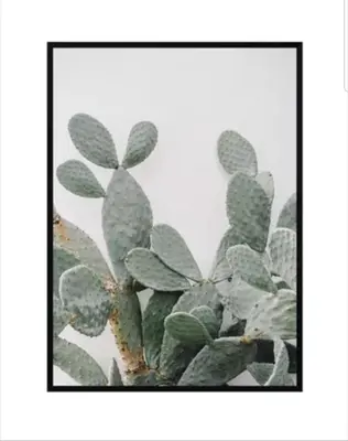 a picture of a plant with green leaves at Studio Cosy centre Cannes in Cannes