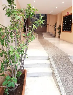 a hallway with stairs with potted plants at Studio Cosy centre Cannes in Cannes
