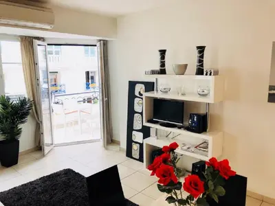 a living room with a television and red flowers on a table at Ô Palais des Iles Two Bedroom Cannes in Cannes