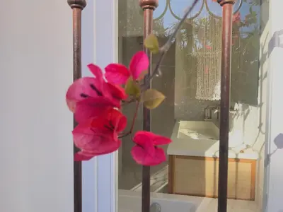 a bunch of pink flowers in front of a window at Villa Riviera in Cannes