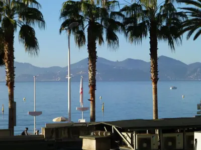 a view of a body of water with palm trees at Appartement Le Palais Des Iles in Cannes