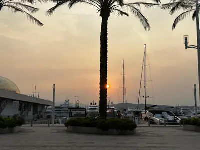 a palm tree in front of a harbor with boats at Modern cosy two bedrooms in Cannes , large terrace, 5 minutes from Croisette in Cannes