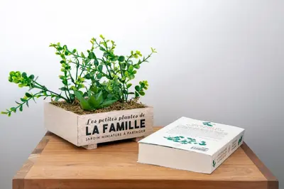 a book and a potted plant on a table at Prime Location Hyper Center Ideal for Couples & Families - Walk Everywhere - SMART by Totolulucannes in Cannes